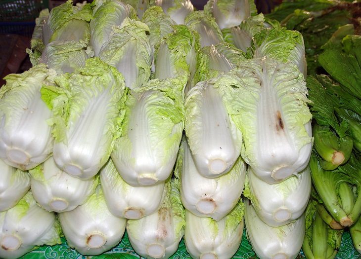 Chinese cabbage