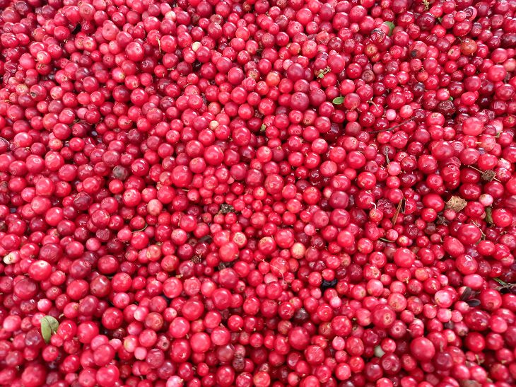 cranberry