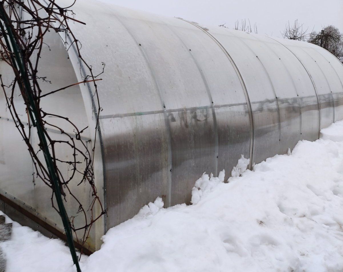 Greenhouse Snow