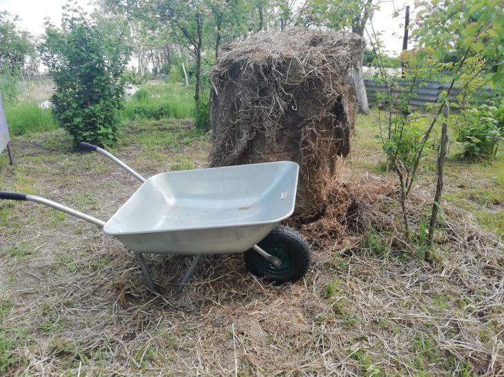 Straw Garden