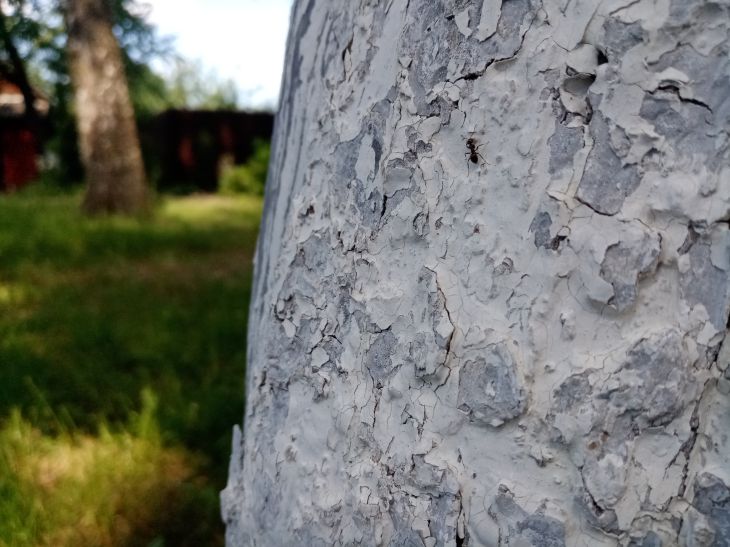 Blanchiment à la chaux en baril