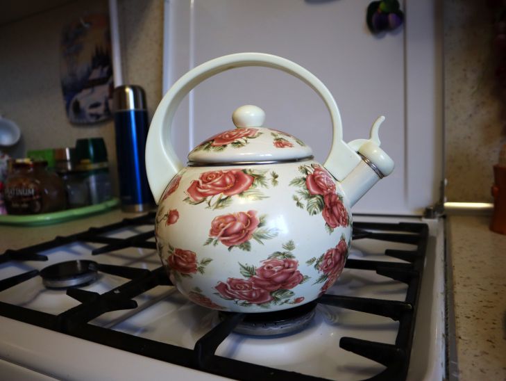 Teapot Dishes