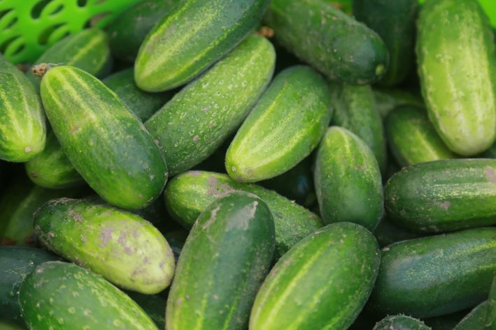 Cucumbers