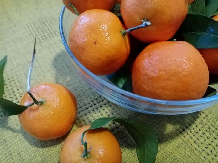 Tangerines