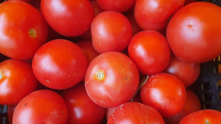 Tomatoes