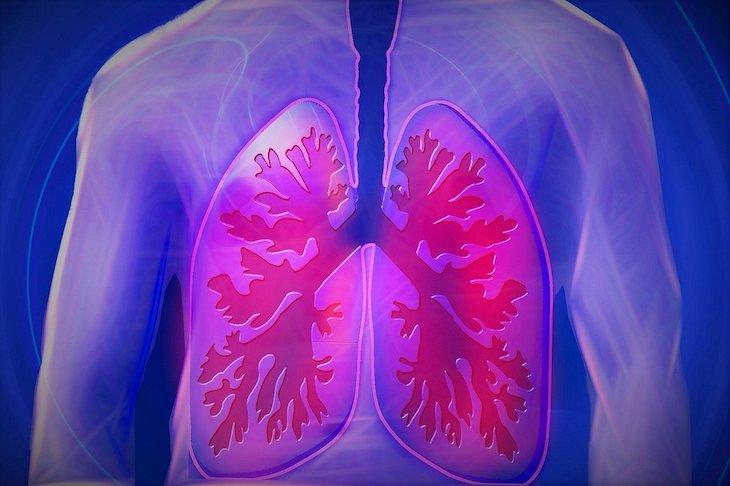 pulmones 