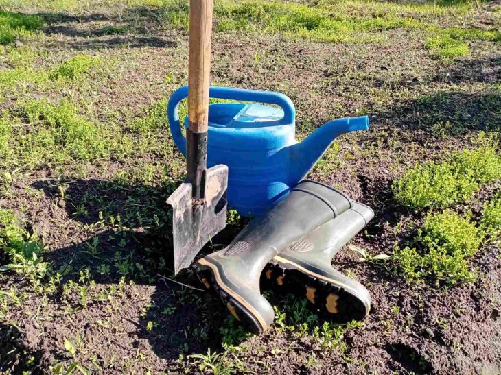 Spade and watering can