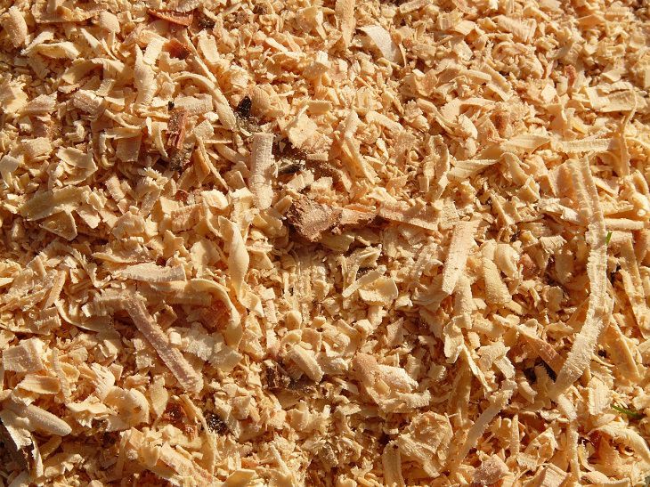 Sawdust