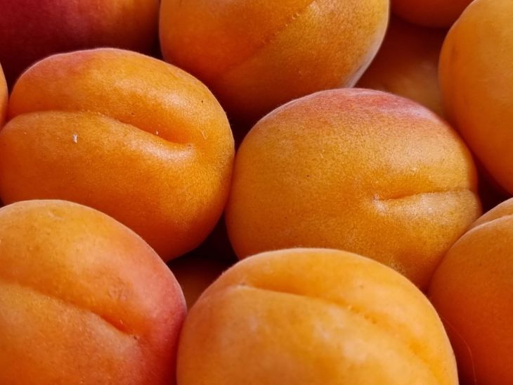 Apricots