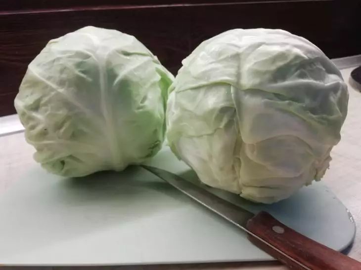 cabbage