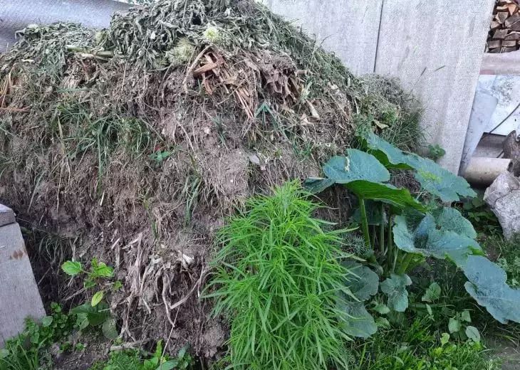 compost