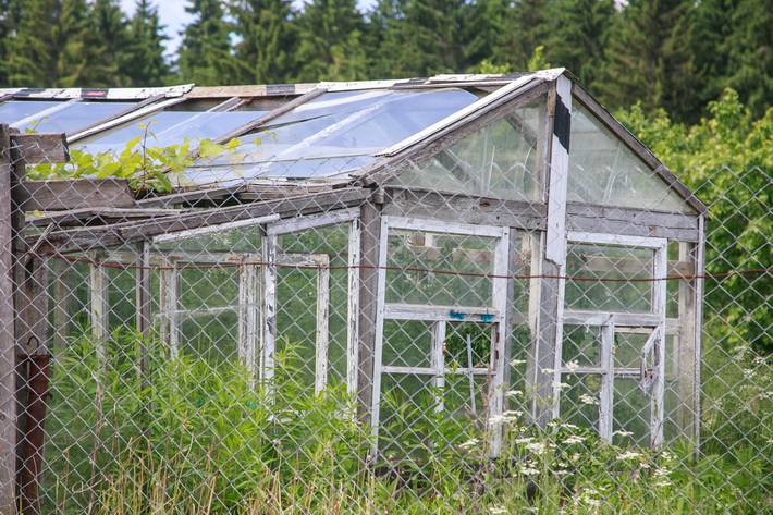 Greenhouse