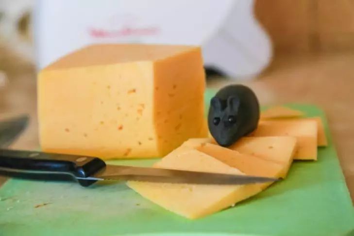 Käse