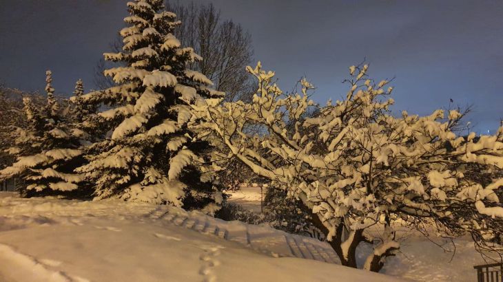 jardín nevado