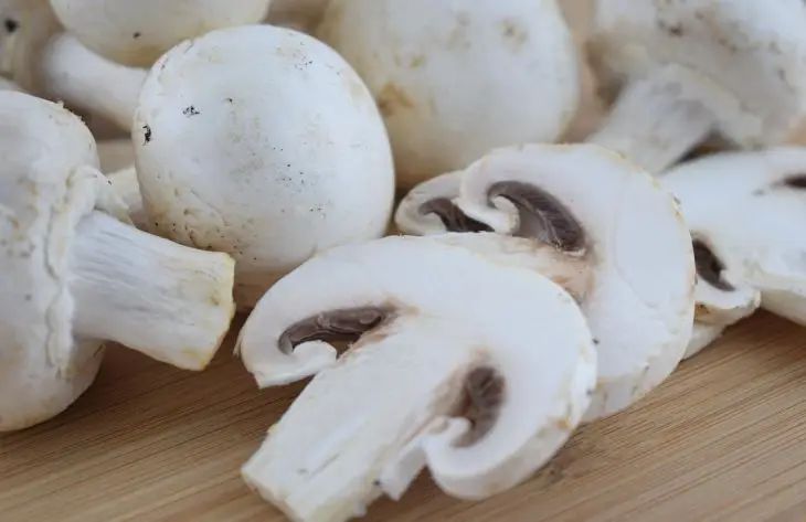 champignon