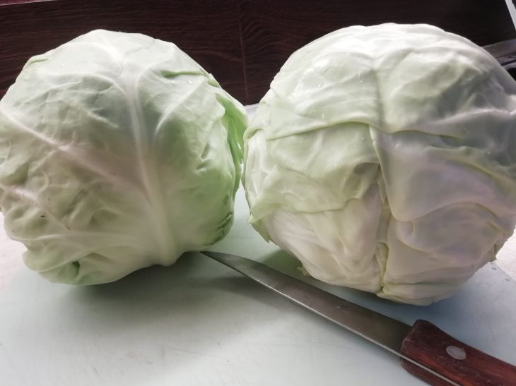 Cabbage