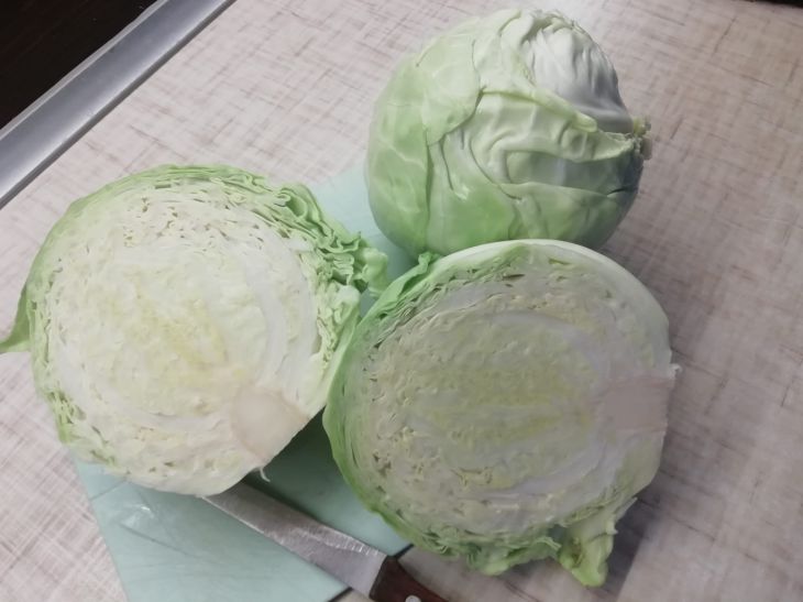 Cabbage