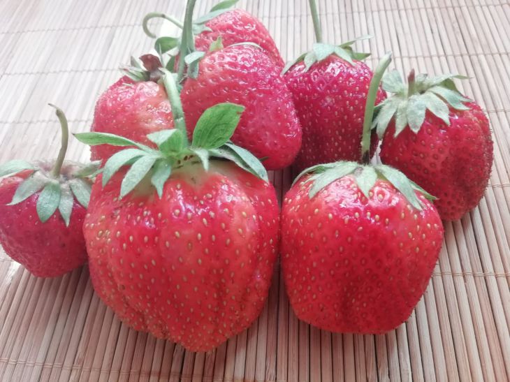 Strawberry