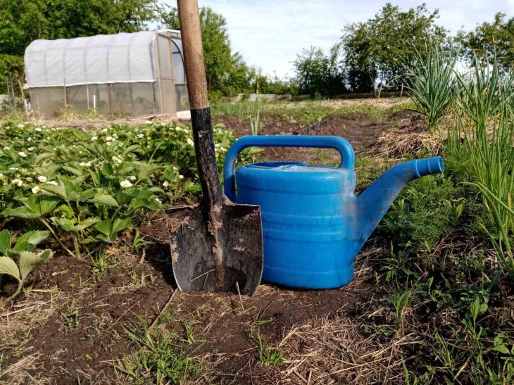 Spade and watering can