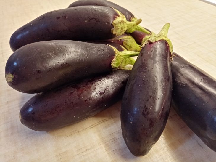 Aubergine