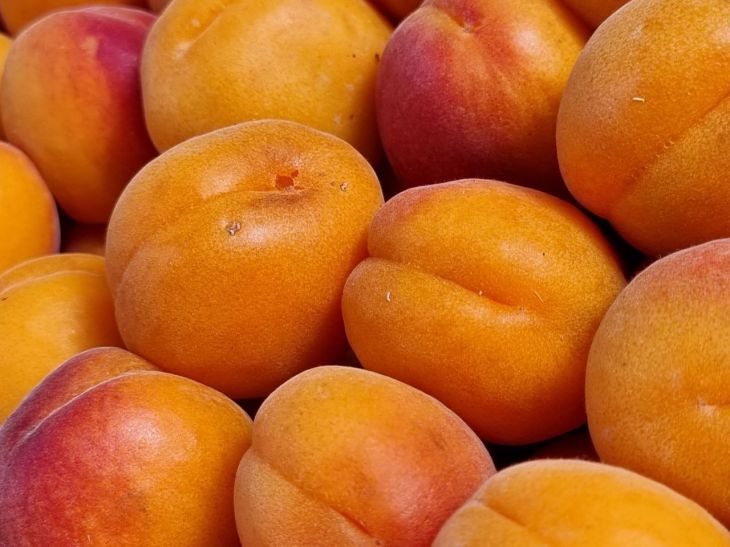 Apricots