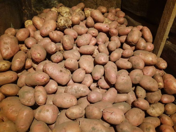 Potatoes