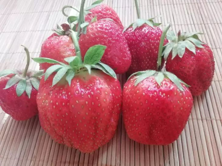 strawberry