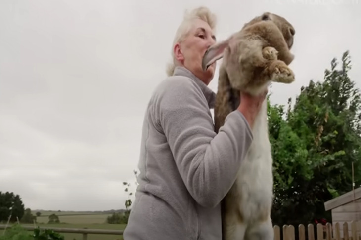 Femme avec un lapin