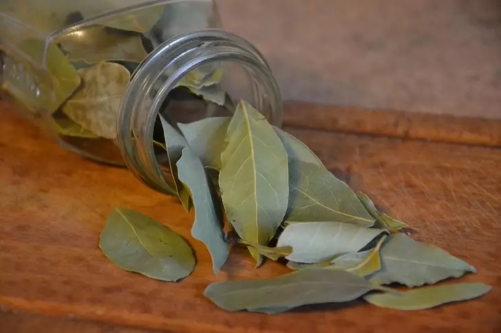 Bay leaf