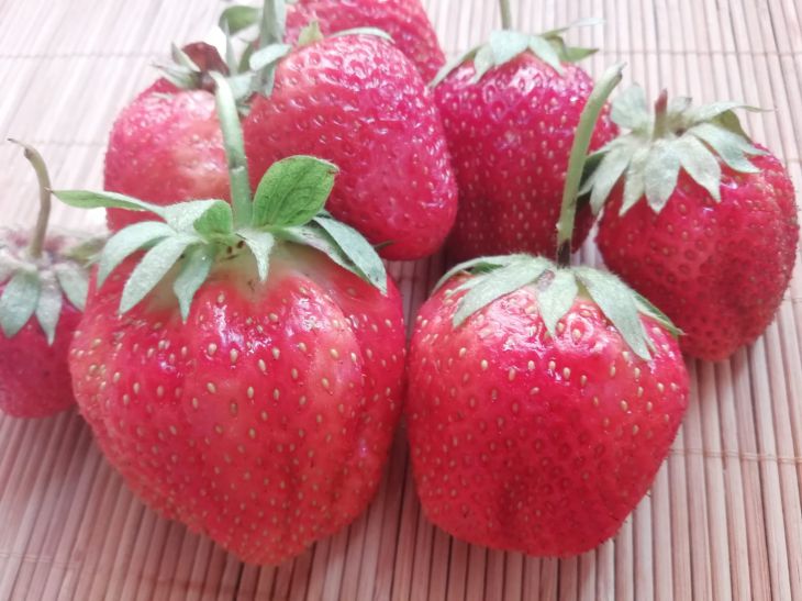 Erdbeerbeeren