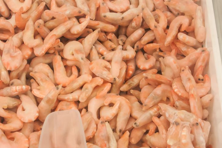 Shrimps