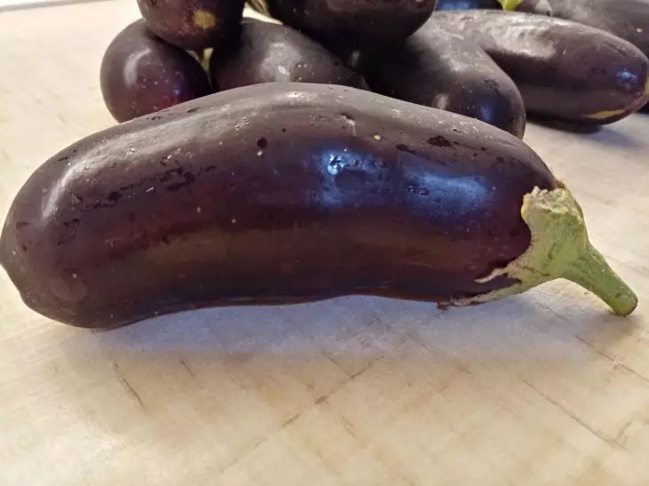 Aubergine