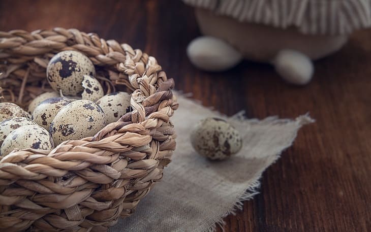 Quail eggs