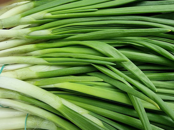 cebollas verdes