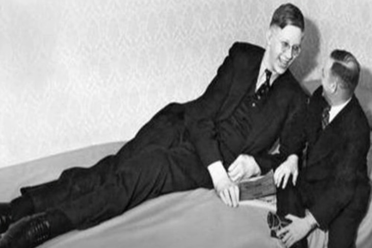 Robert Wadlow