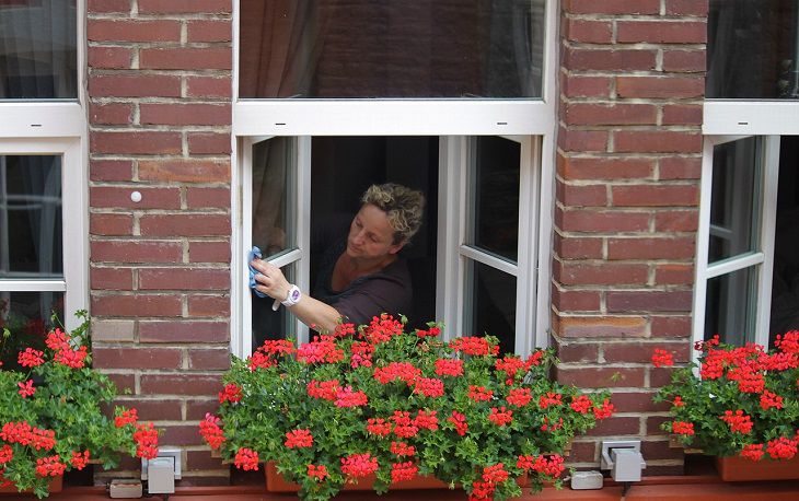 limpieza de ventanas