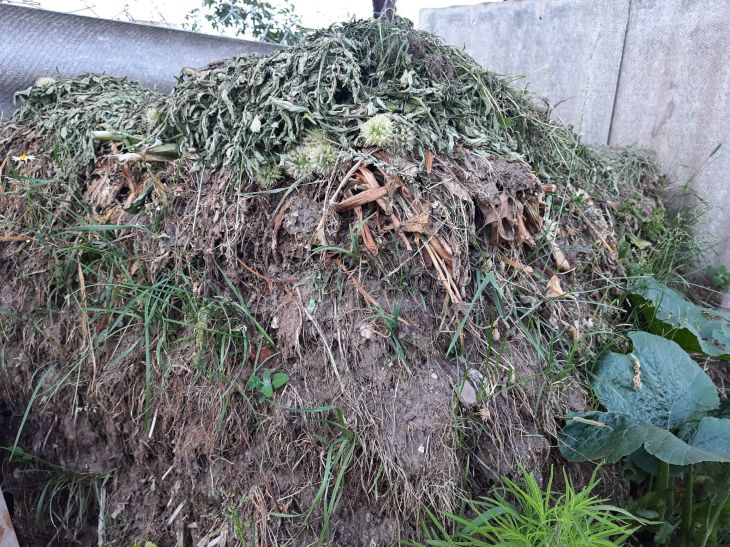 Compost grass