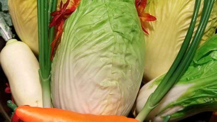 Chinese cabbage