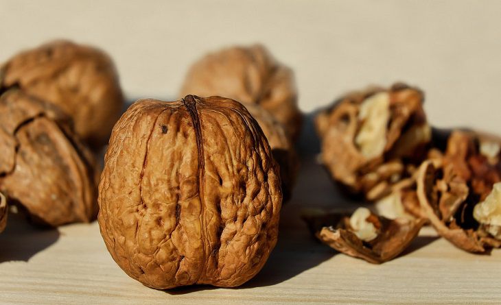 nueces 