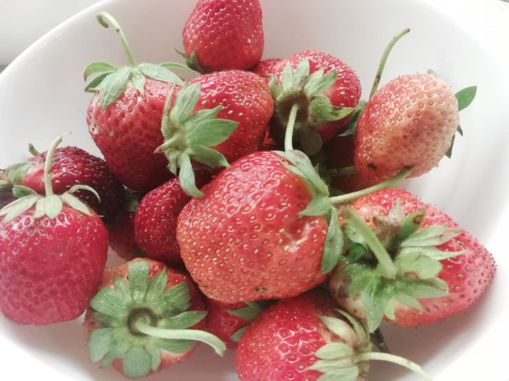 Erdbeerbeeren