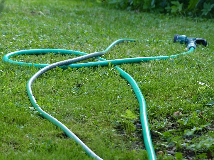 Hose