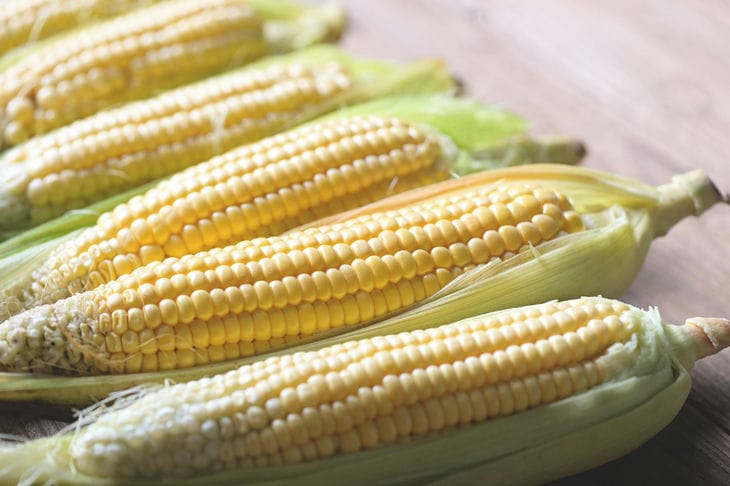 Corn