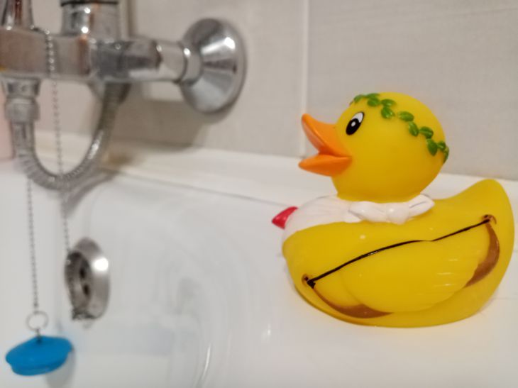 Canard dans le bain