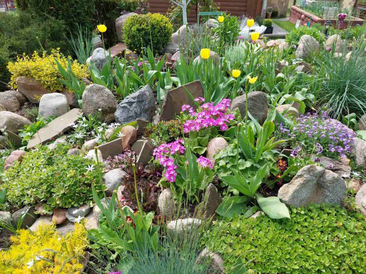 Parterre de fleurs