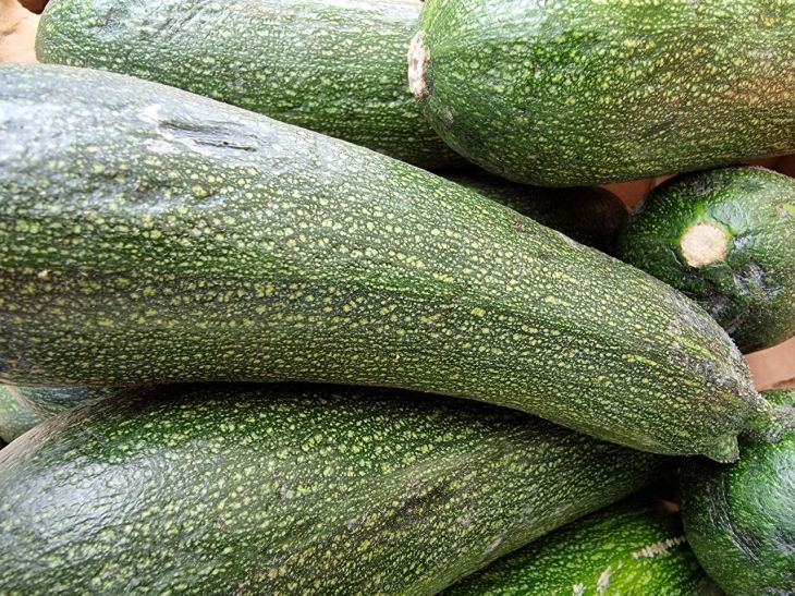 Zucchini