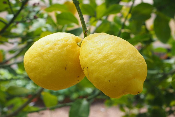 limones