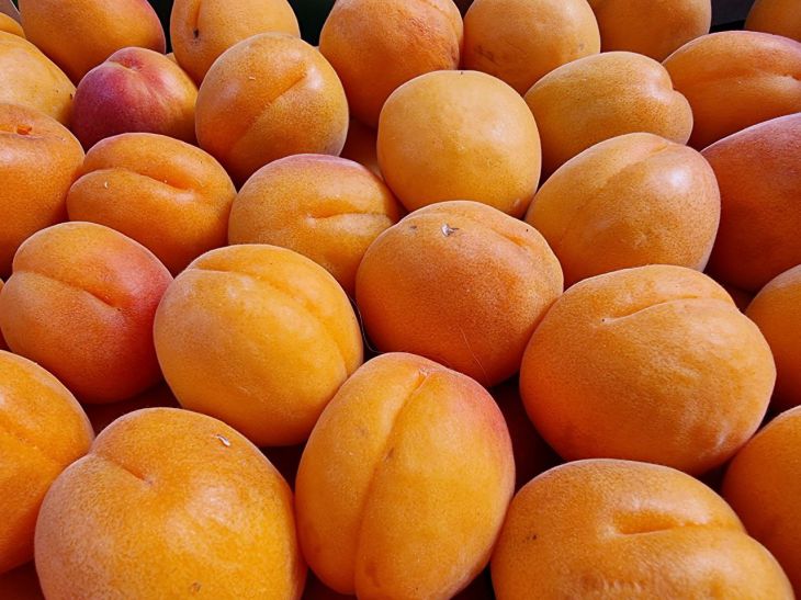 apricot