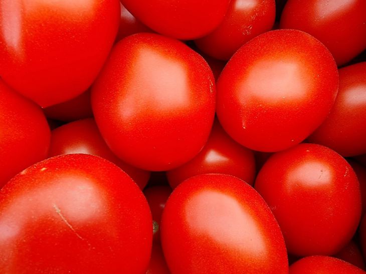 Tomatoes