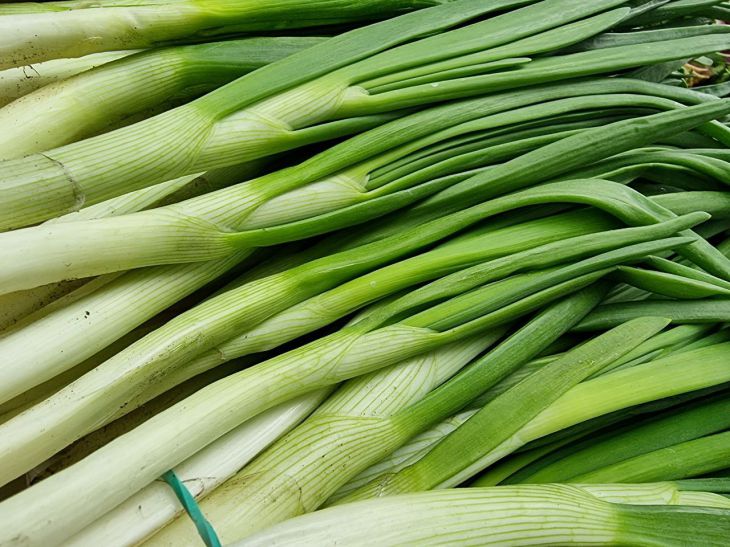 cebollas verdes