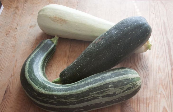 courgettes